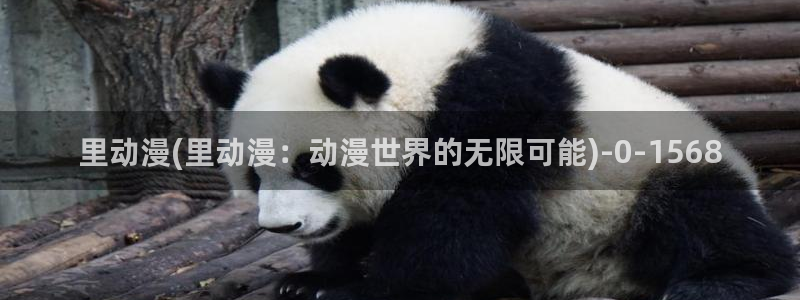 动漫眼睛：里动漫(里动漫：动漫世界的无限可能)