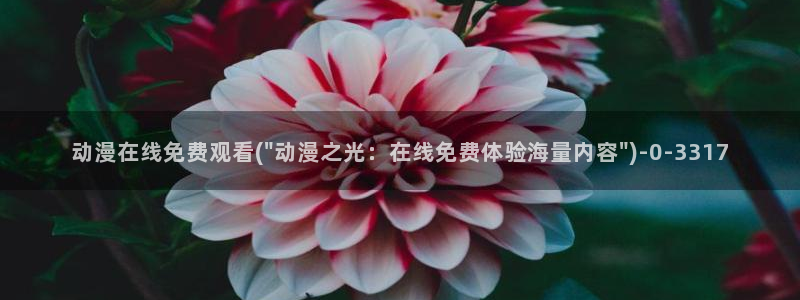 看动漫的网站：动漫在线免费观看(\