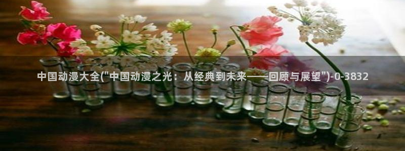 动漫主题曲：中国动漫大全(\