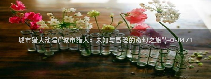 成人动漫网站