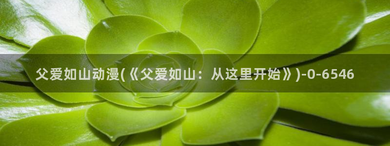 看动漫