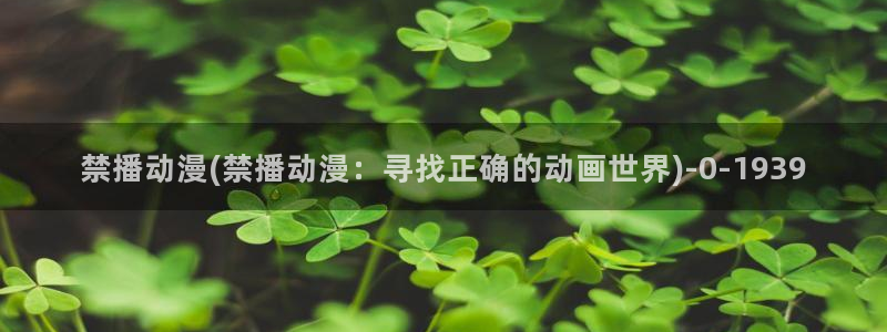 58动漫